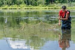 Photo of student collecting samples in lake.