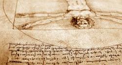 close-up of Leonardo DaVinci's Vitruvian Man