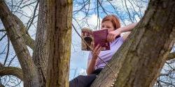 学生在树上看书的照片