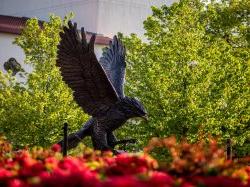十大博彩推荐排名州立大学的鹰雕像.