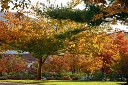 秋天的校园，五彩缤纷的树叶和卡塞尔剧院的景观.