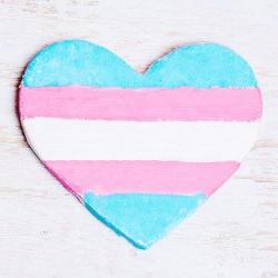 Transgender flag in a heart