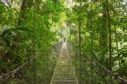 Hanging bridge at natural rainforest park in Costa Rica